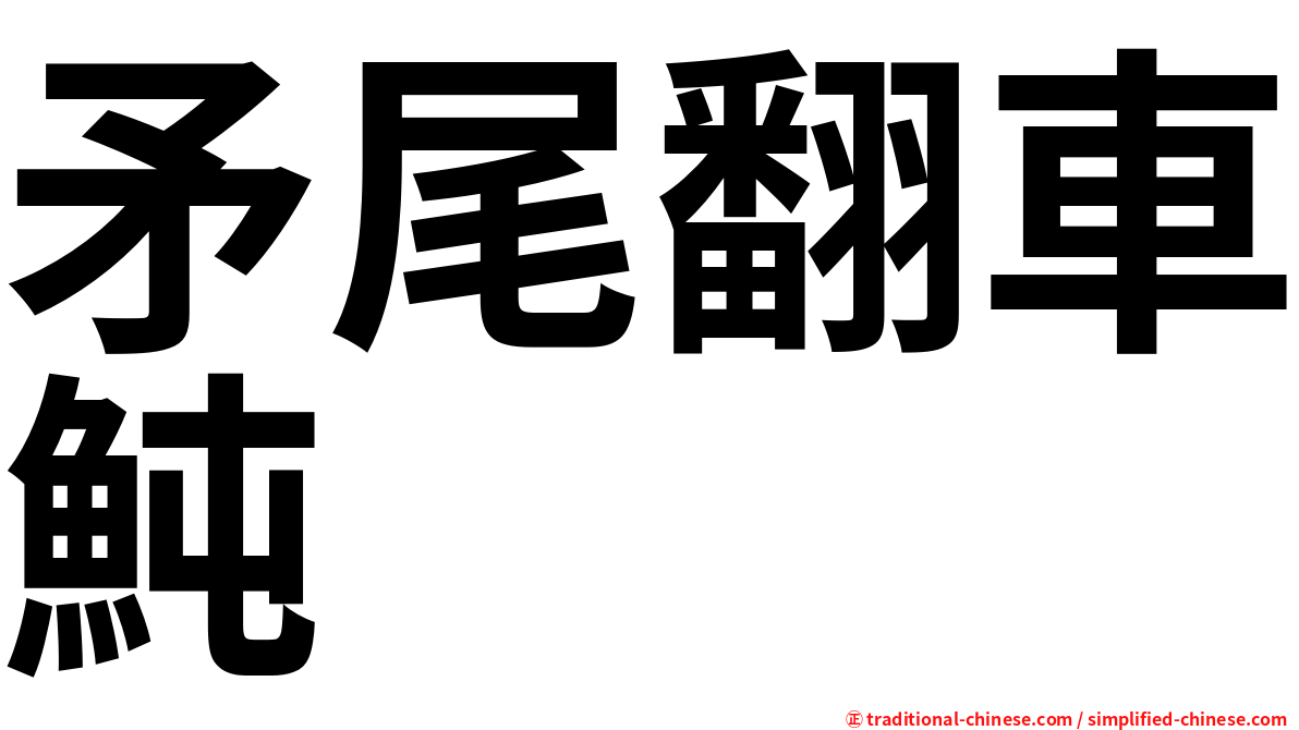 矛尾翻車魨
