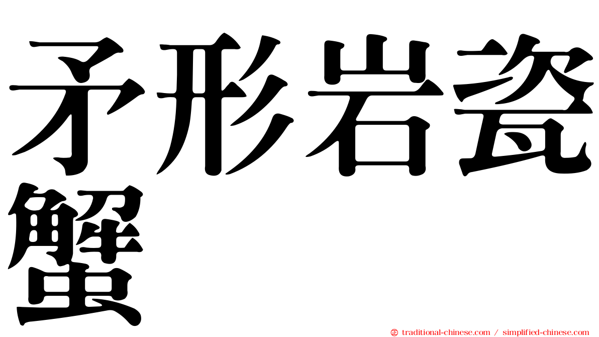 矛形岩瓷蟹