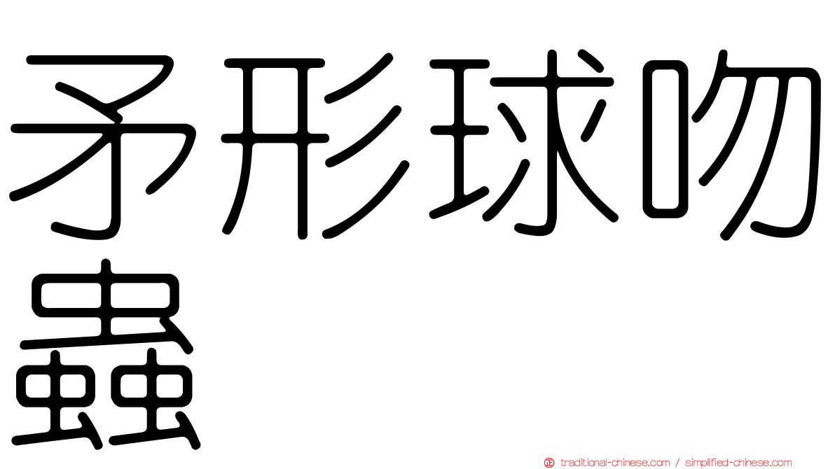 矛形球吻蟲