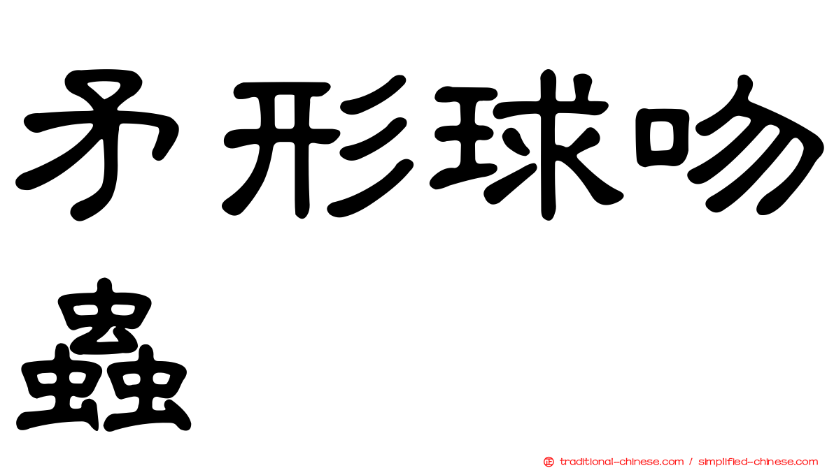 矛形球吻蟲