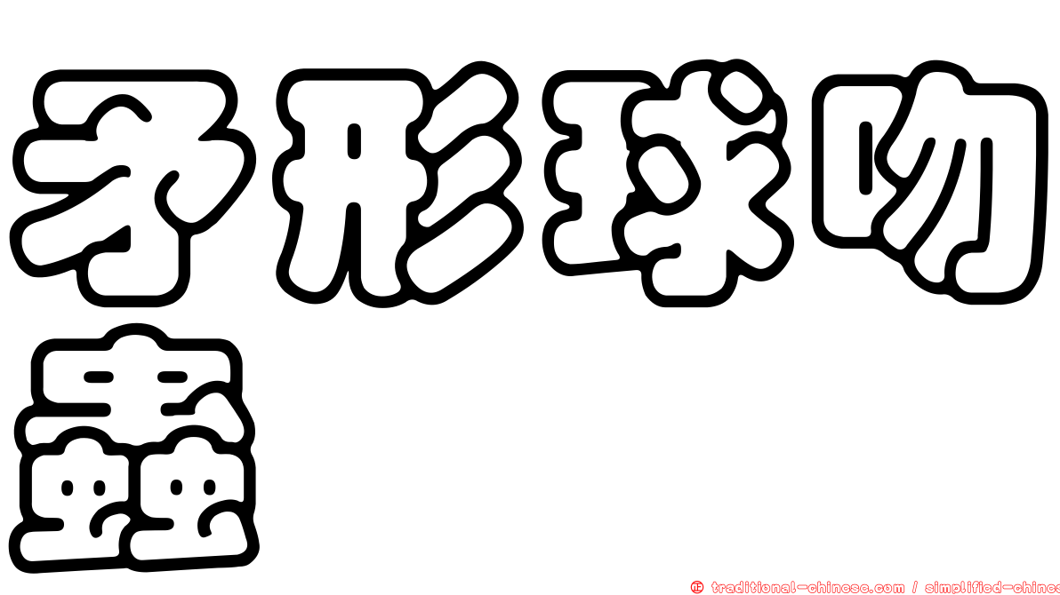 矛形球吻蟲