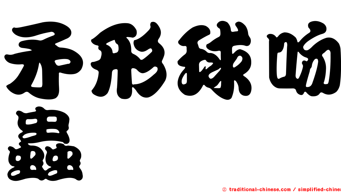 矛形球吻蟲
