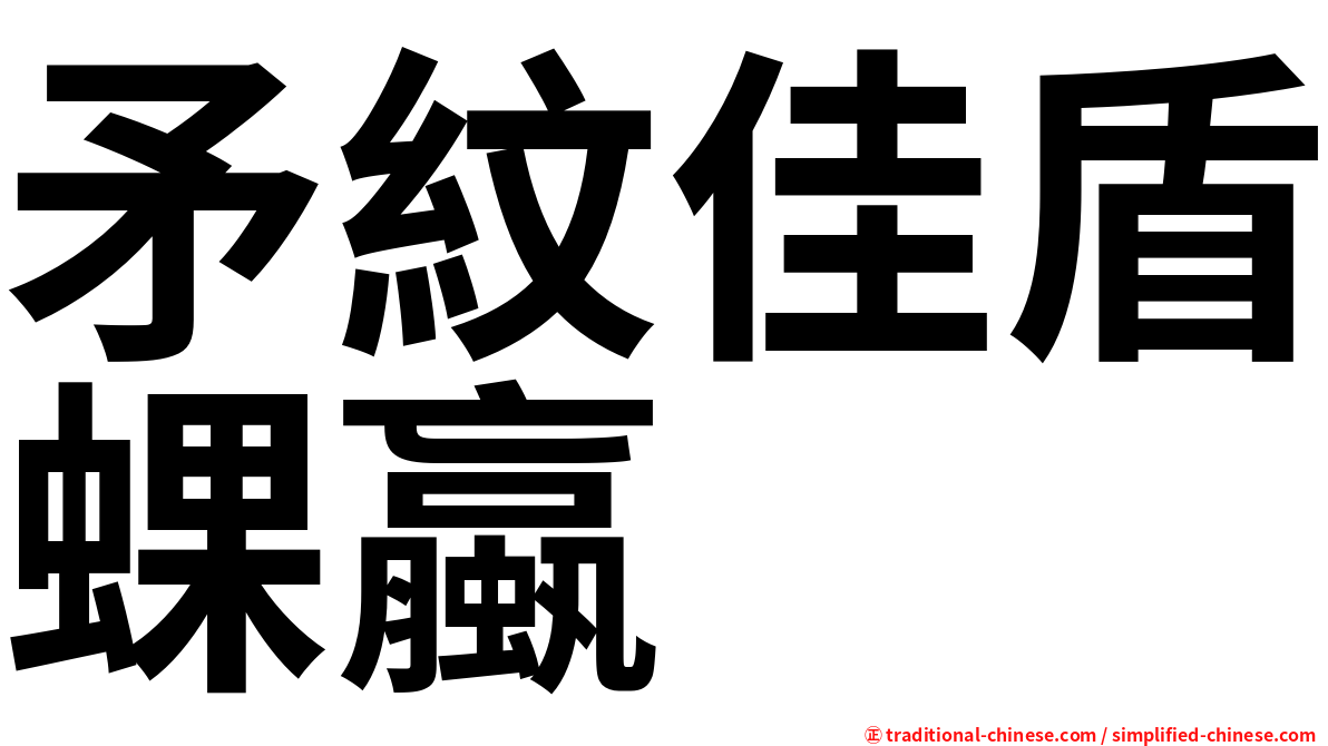 矛紋佳盾蜾蠃