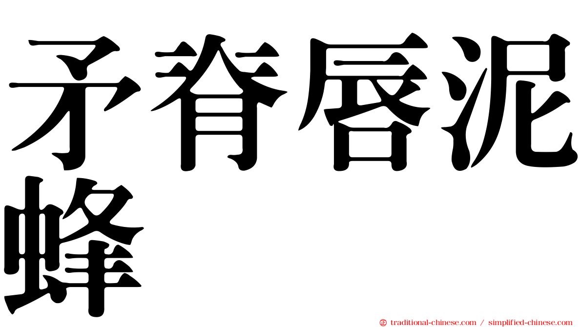 矛脊唇泥蜂