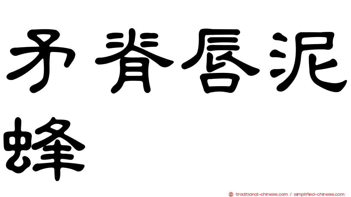 矛脊唇泥蜂