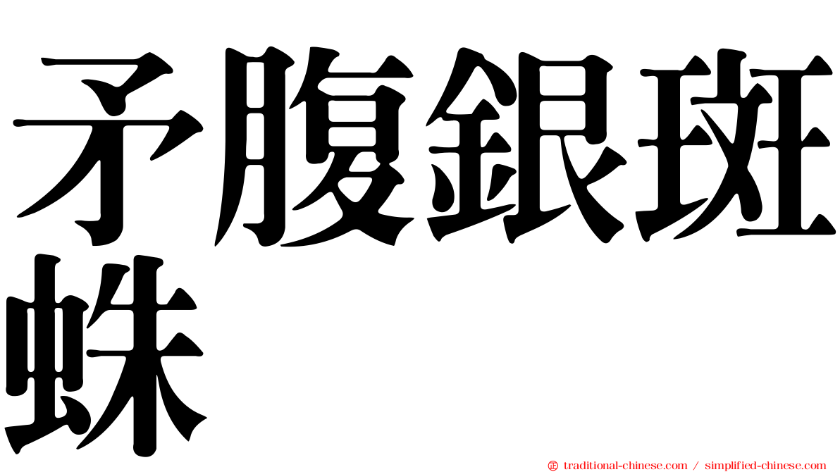 矛腹銀斑蛛
