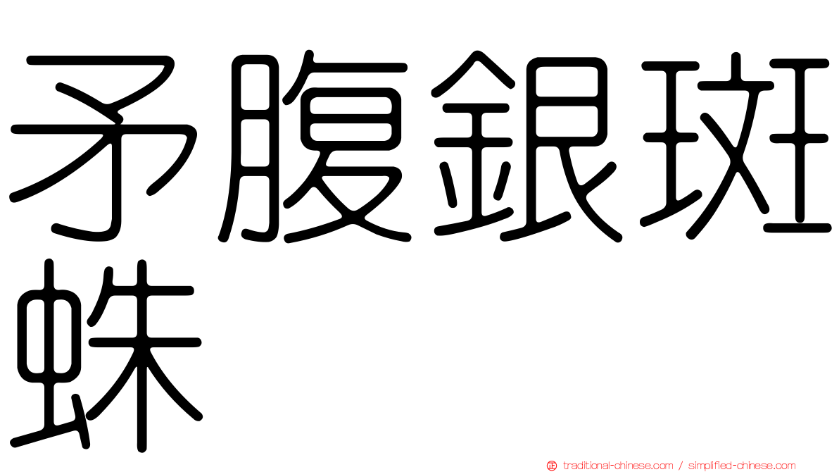 矛腹銀斑蛛