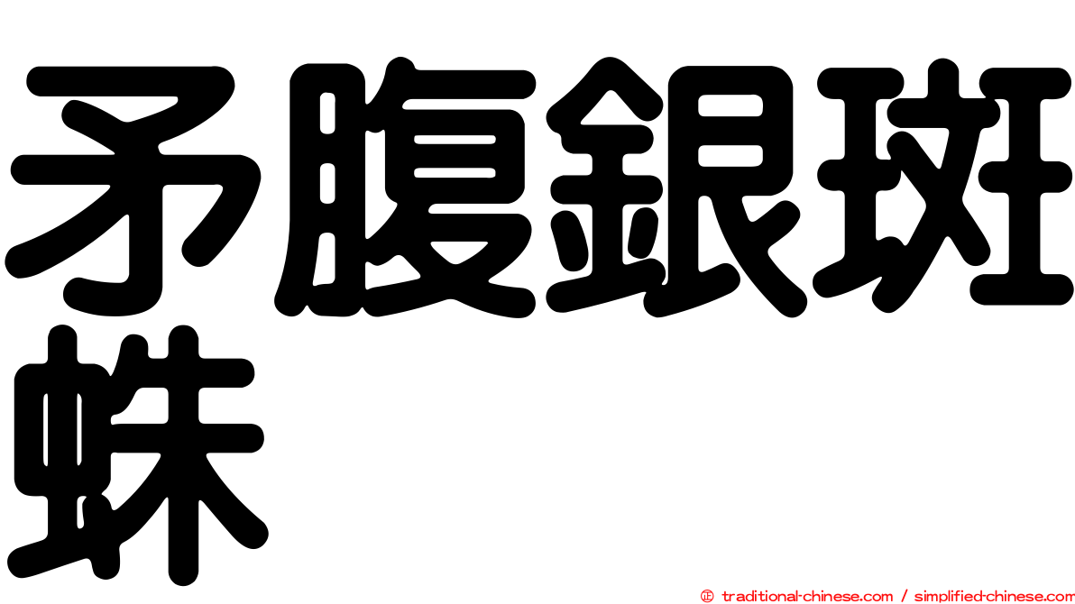 矛腹銀斑蛛
