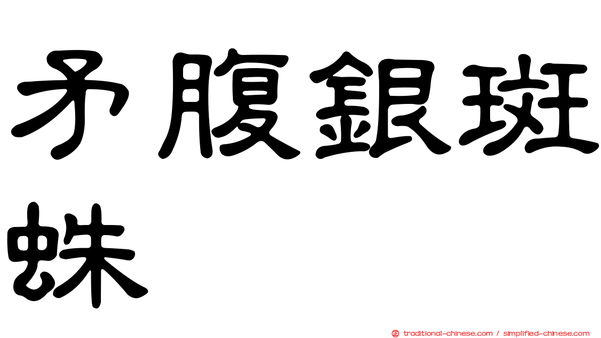 矛腹銀斑蛛