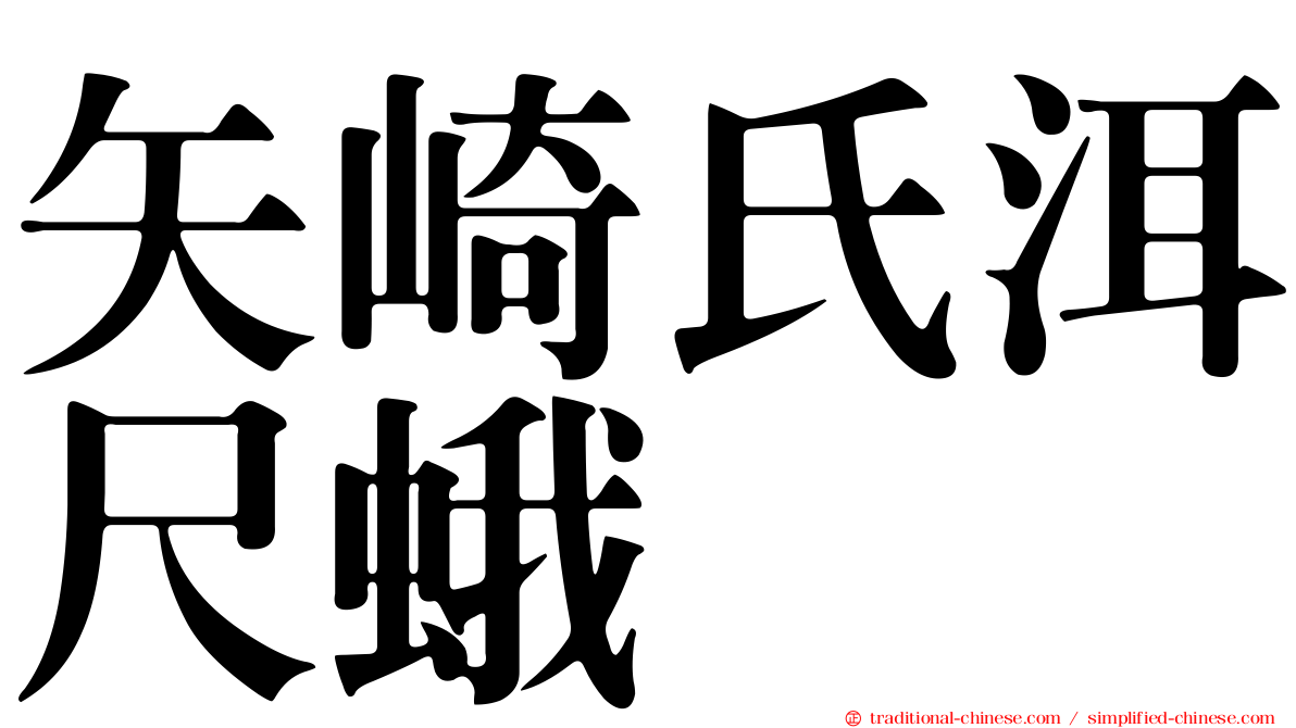 矢崎氏洱尺蛾