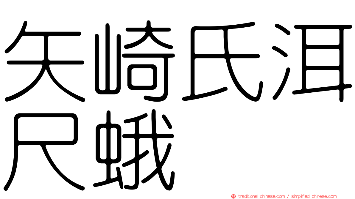 矢崎氏洱尺蛾