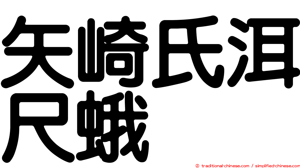 矢崎氏洱尺蛾