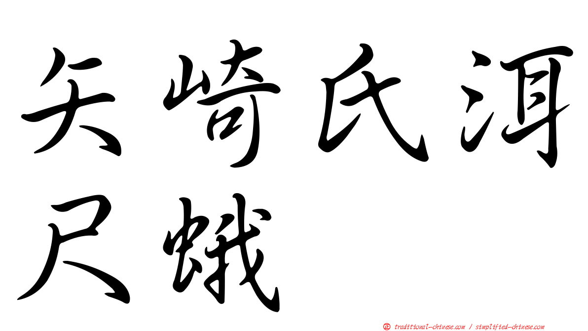 矢崎氏洱尺蛾