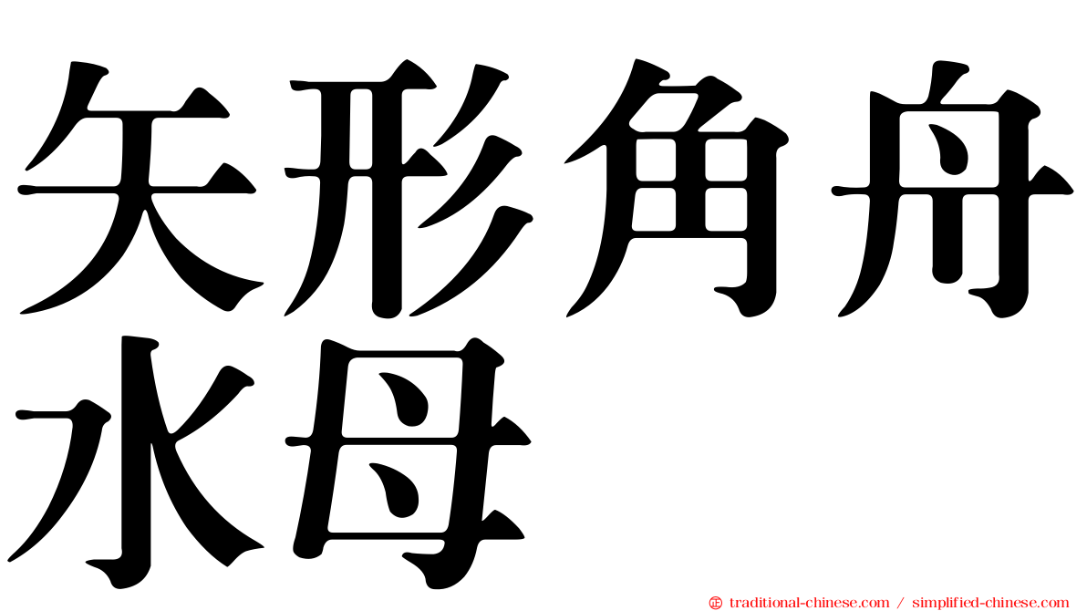 矢形角舟水母