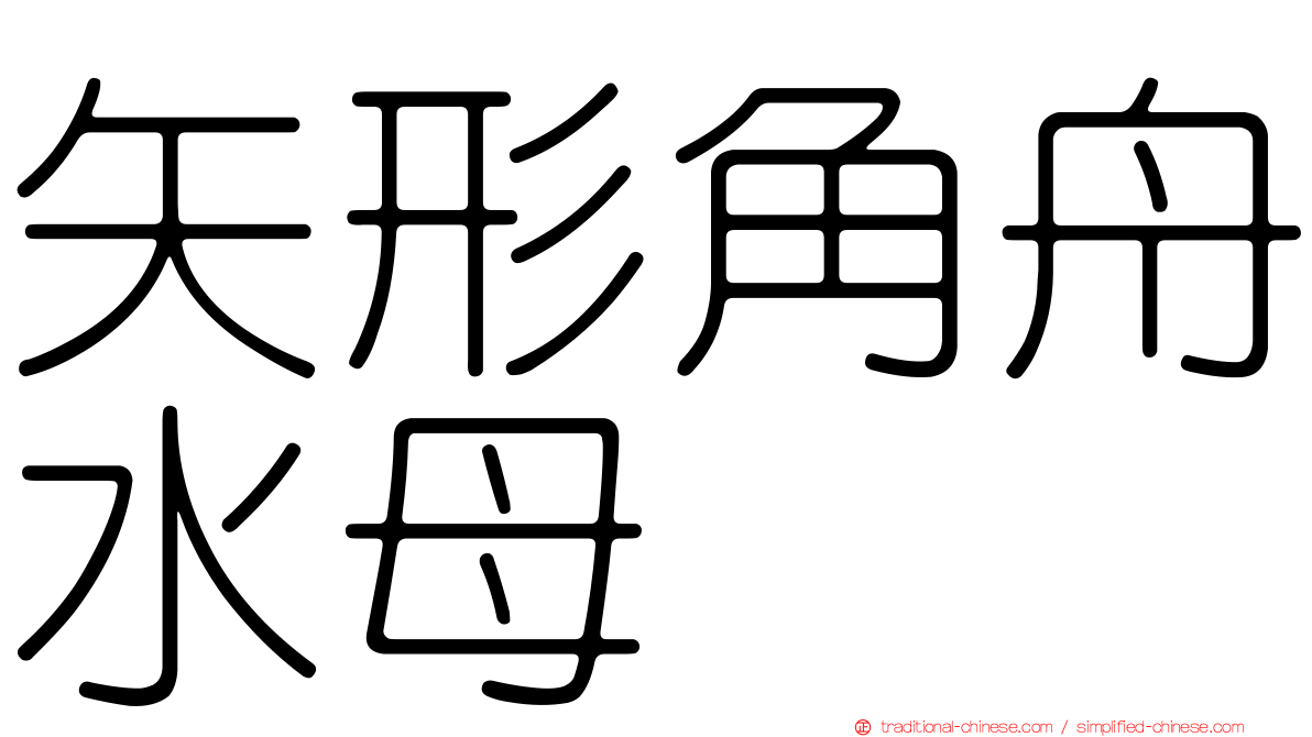 矢形角舟水母