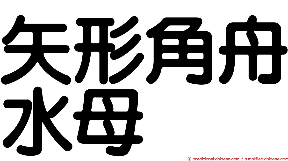 矢形角舟水母