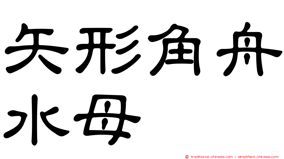 矢形角舟水母