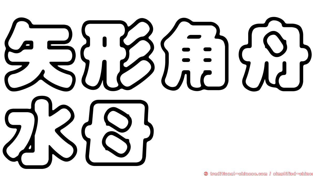 矢形角舟水母
