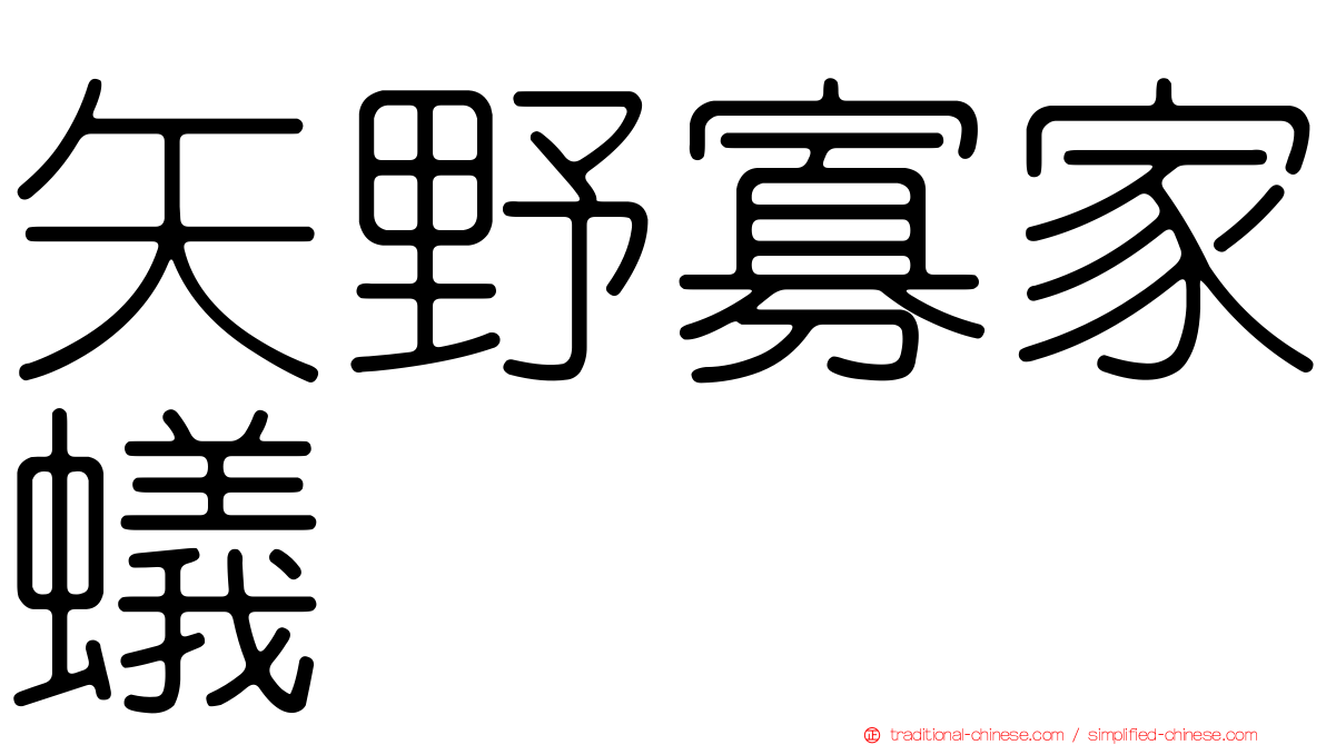 矢野寡家蟻