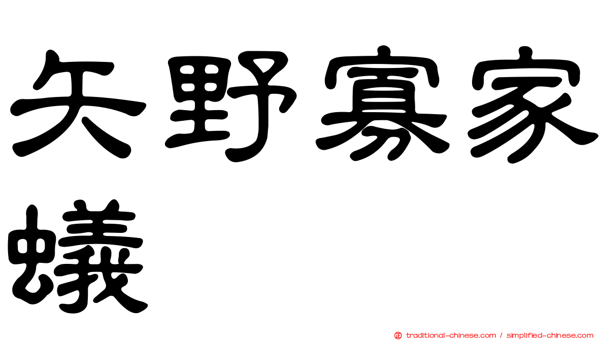 矢野寡家蟻