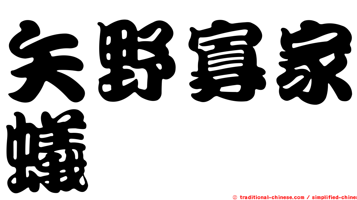 矢野寡家蟻