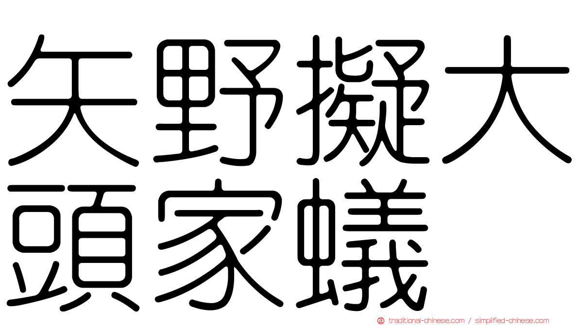 矢野擬大頭家蟻