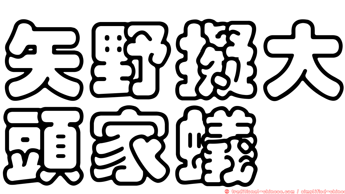矢野擬大頭家蟻
