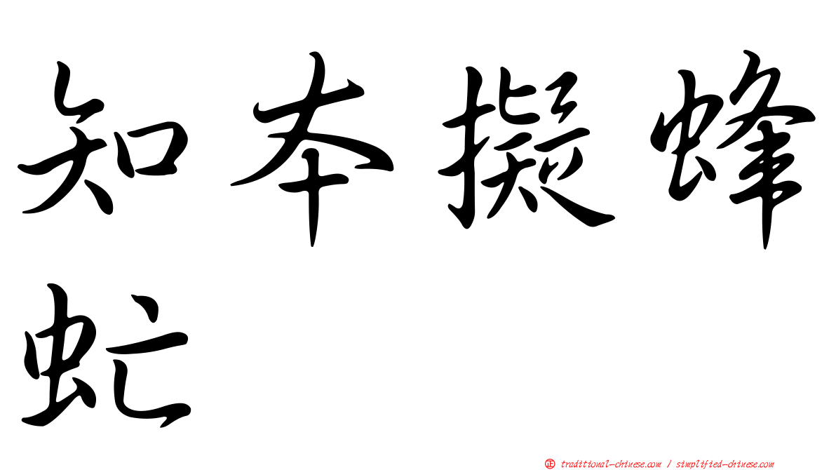 知本擬蜂虻