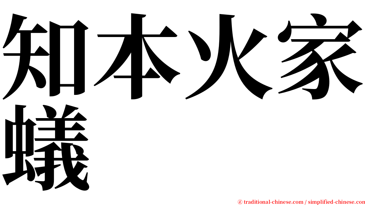 知本火家蟻 serif font