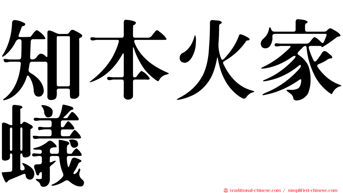 知本火家蟻