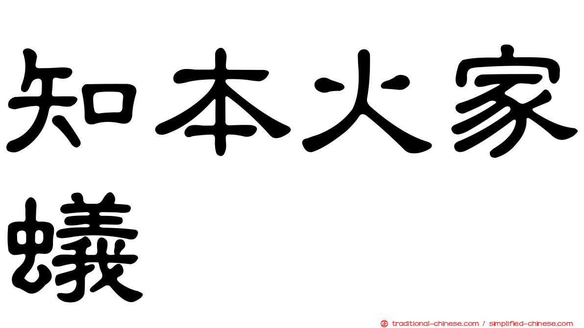 知本火家蟻