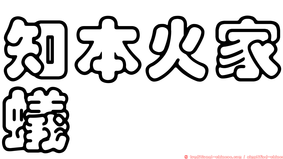 知本火家蟻