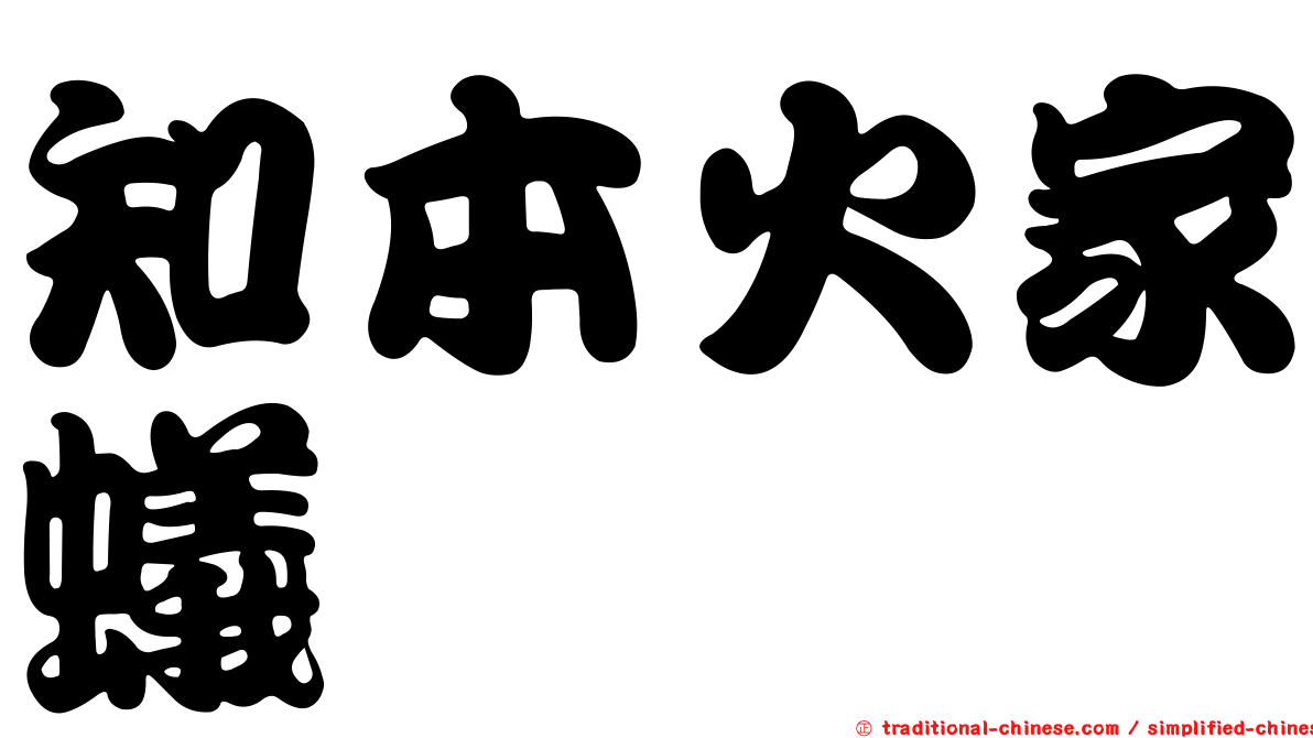 知本火家蟻