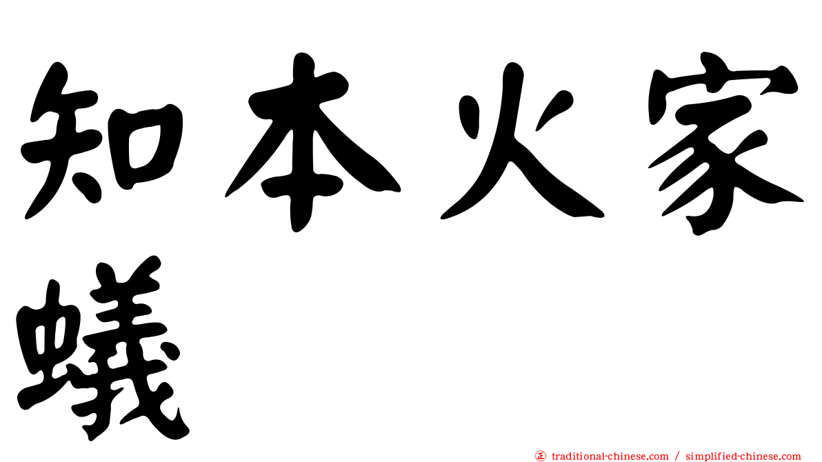 知本火家蟻