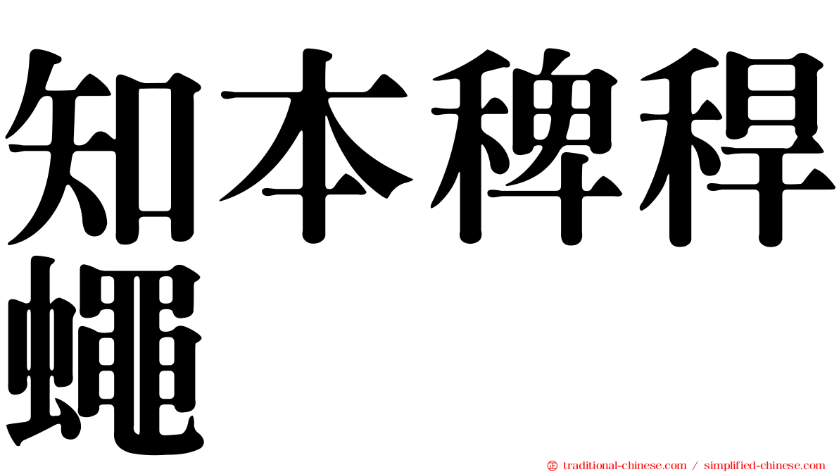 知本稗稈蠅