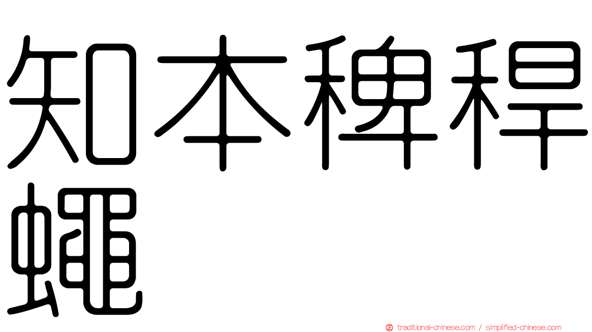 知本稗稈蠅