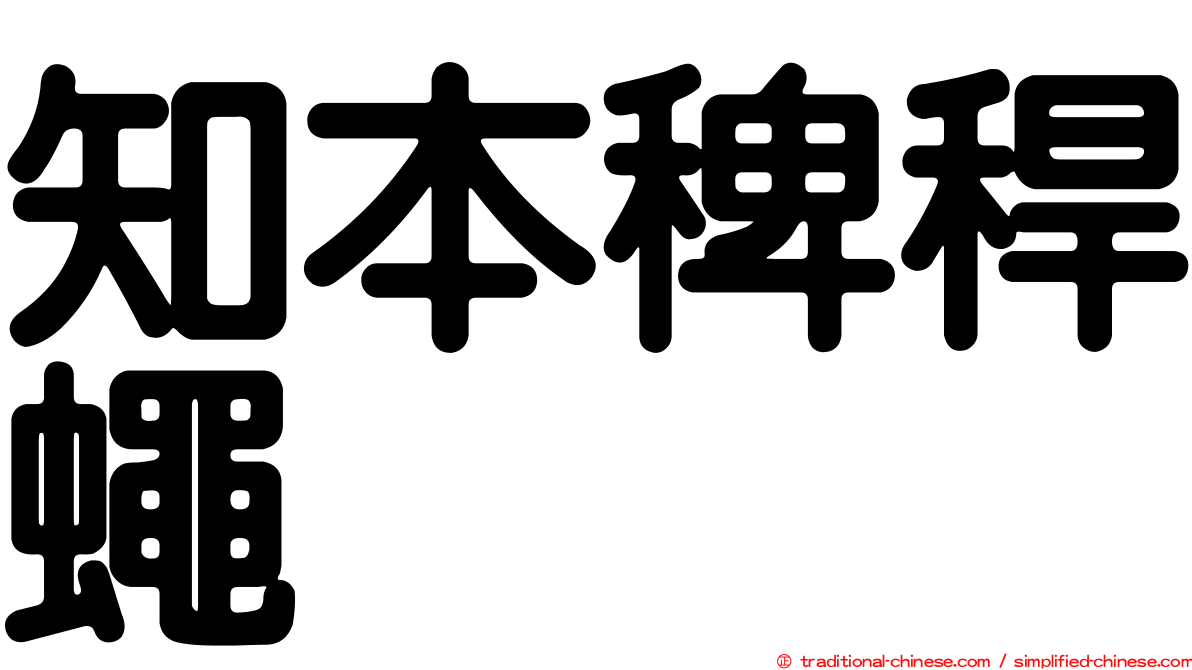 知本稗稈蠅