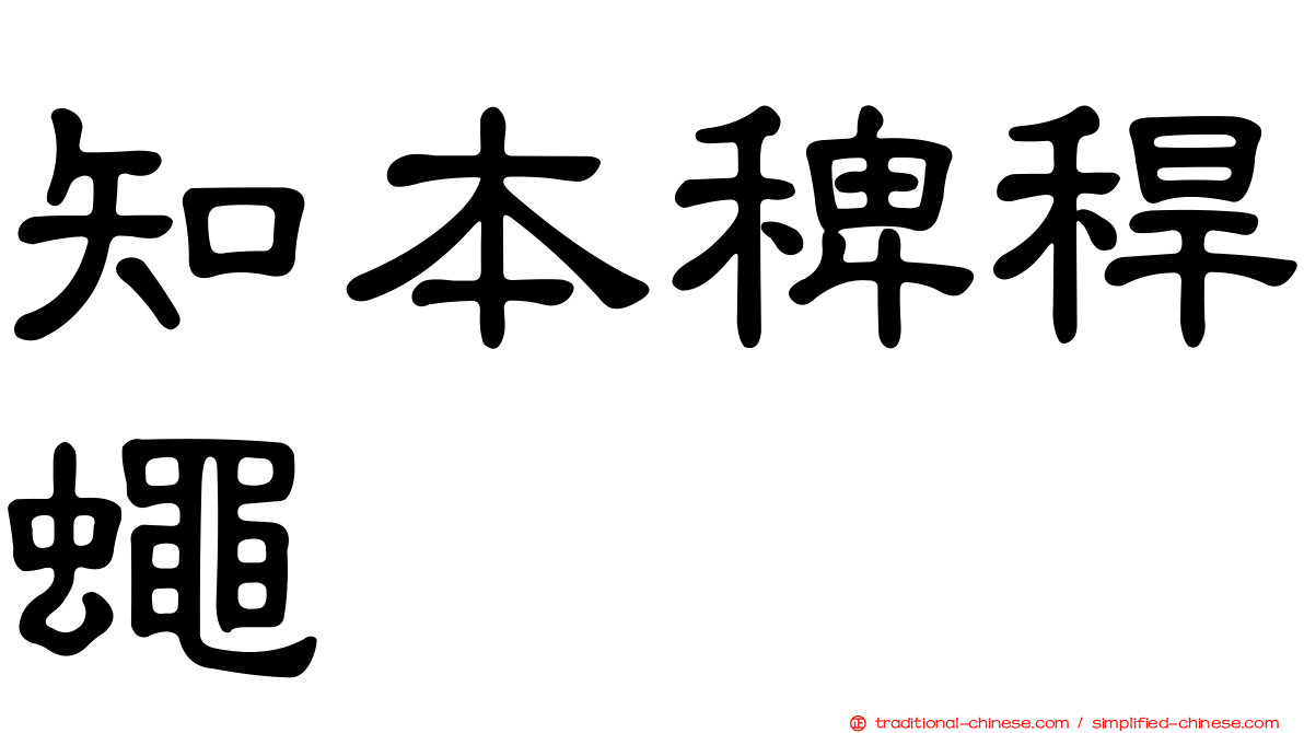 知本稗稈蠅
