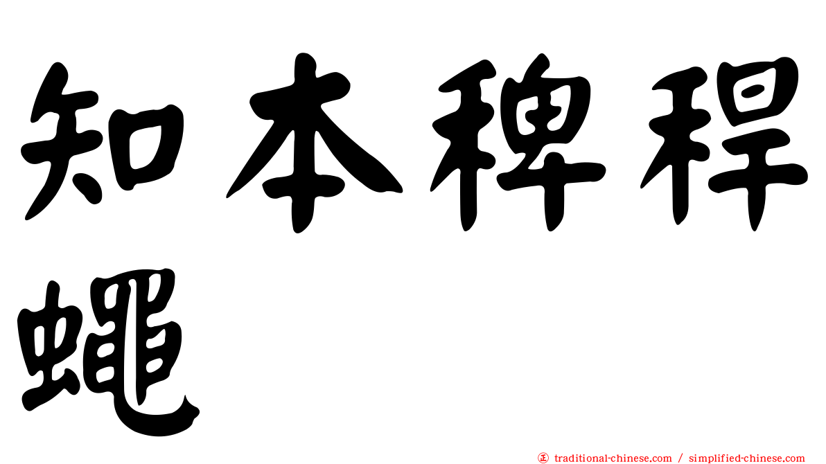 知本稗稈蠅