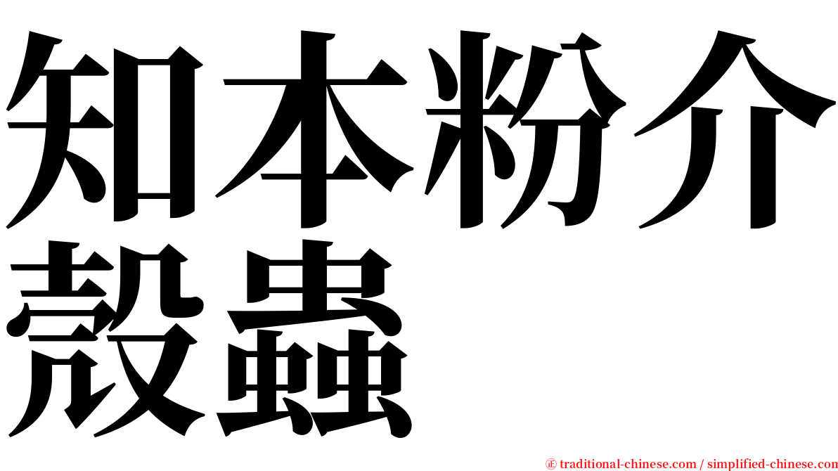 知本粉介殼蟲 serif font