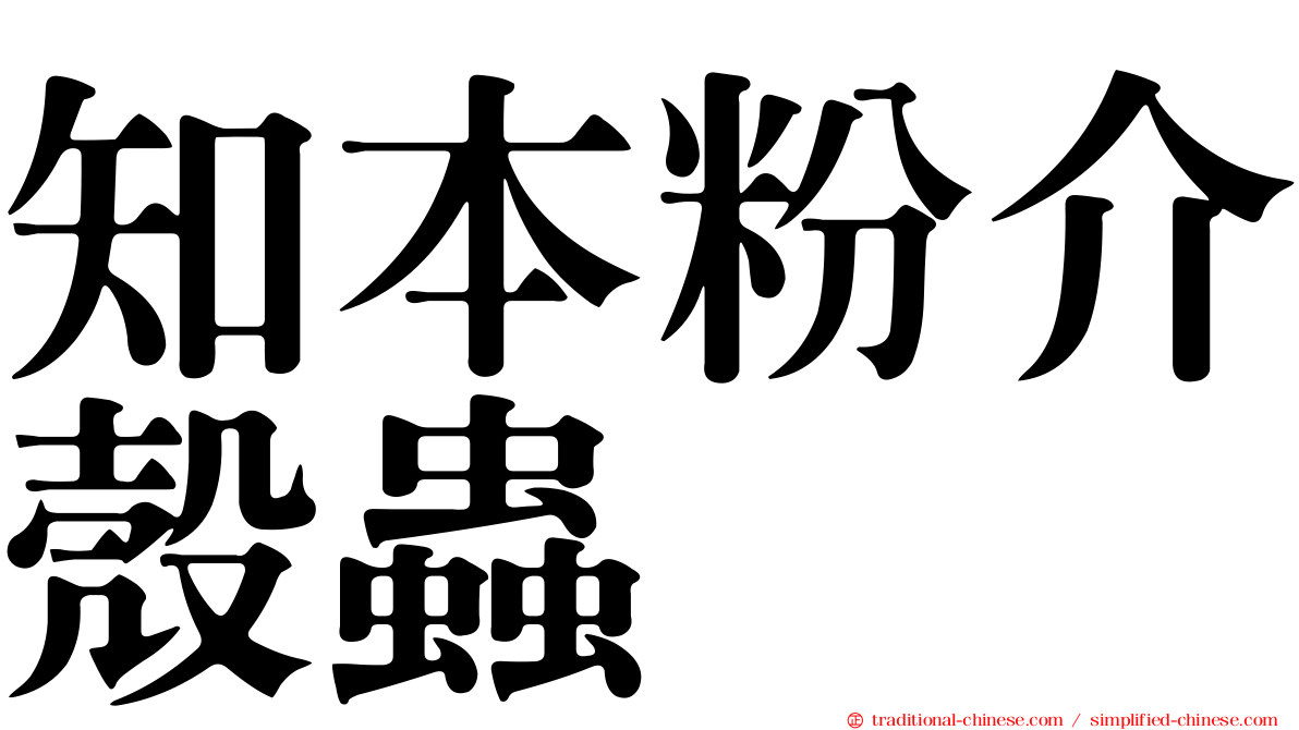 知本粉介殼蟲