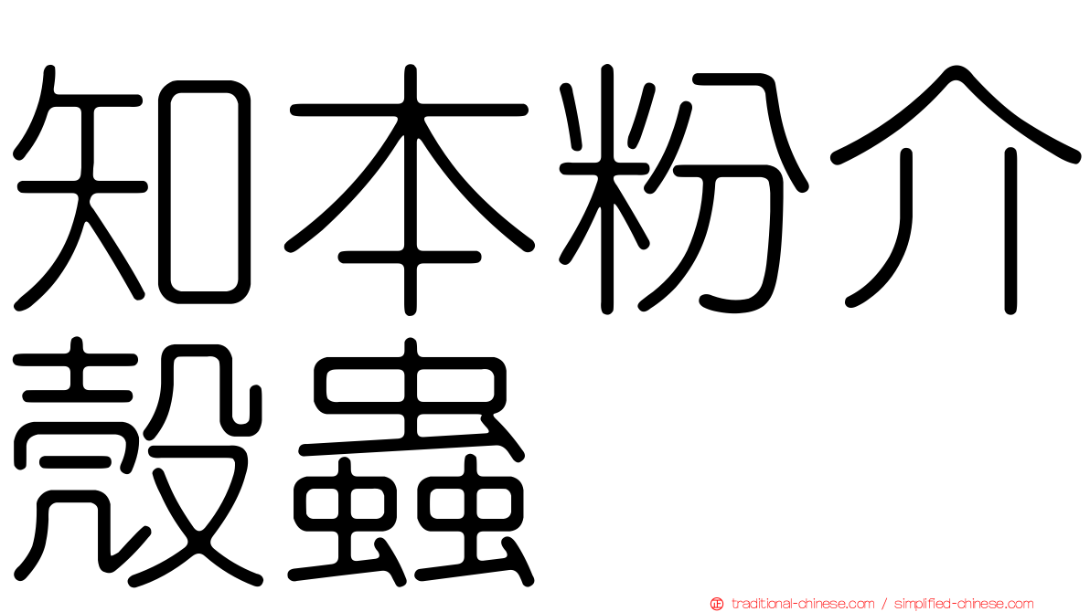 知本粉介殼蟲