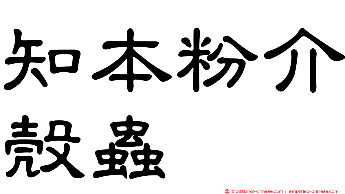 知本粉介殼蟲