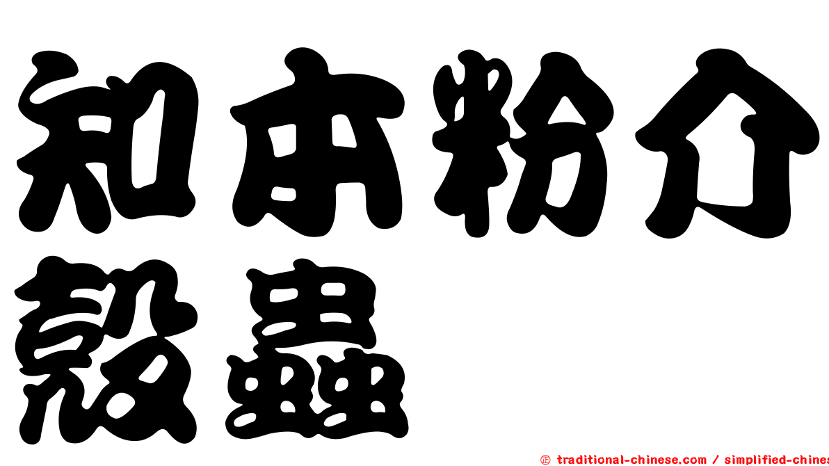 知本粉介殼蟲