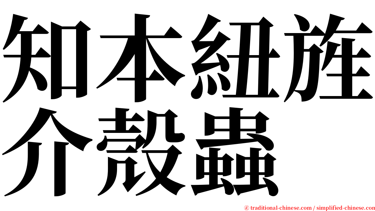 知本紐旌介殼蟲 serif font