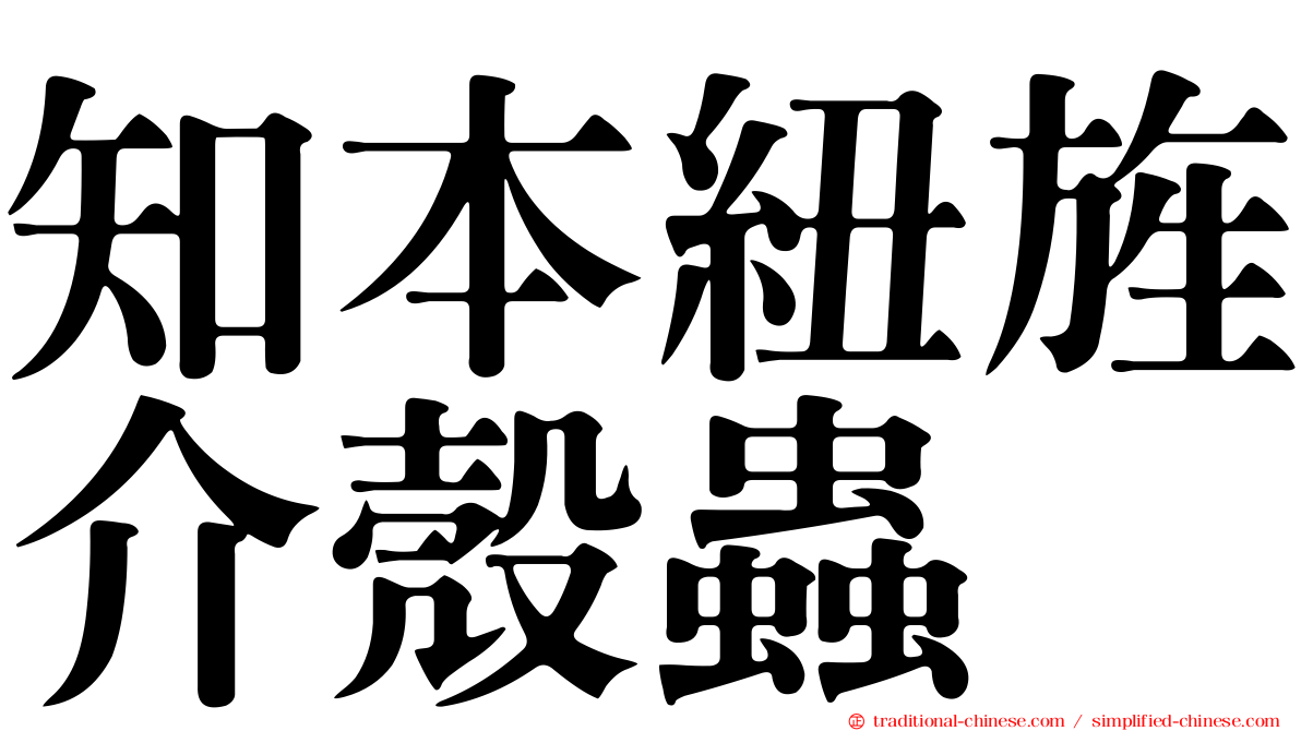 知本紐旌介殼蟲