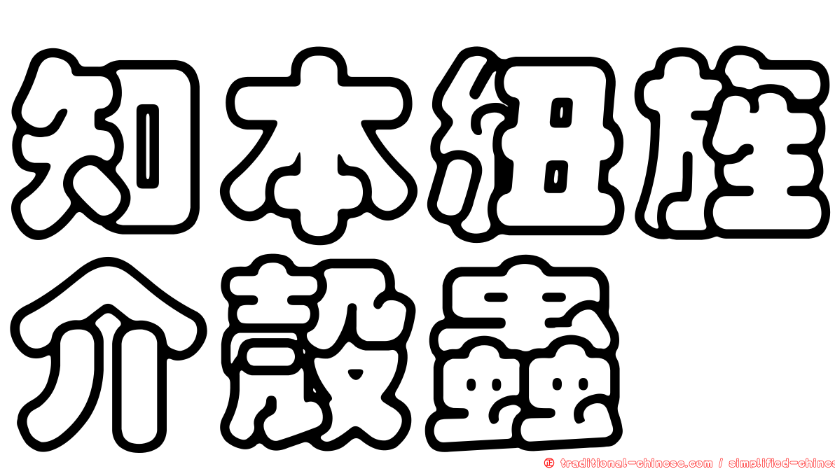 知本紐旌介殼蟲