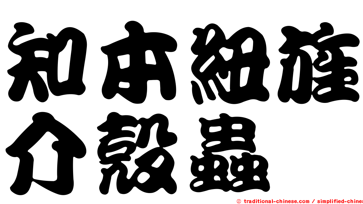 知本紐旌介殼蟲