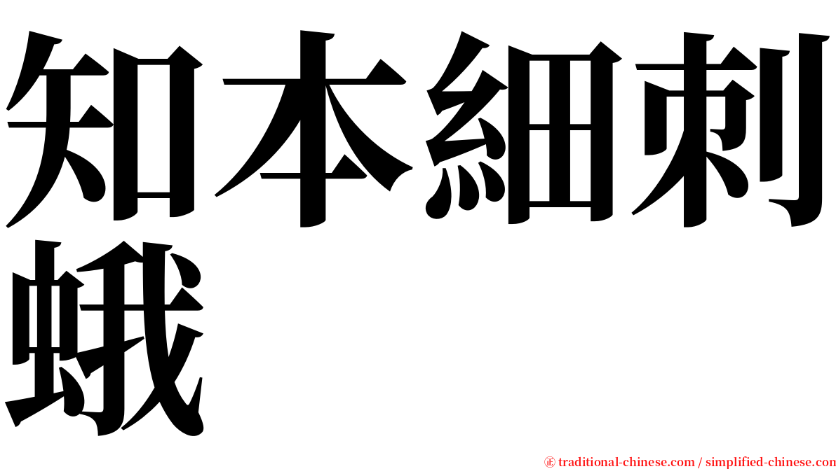 知本細刺蛾 serif font