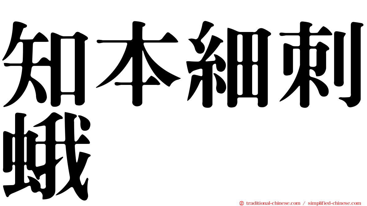 知本細刺蛾
